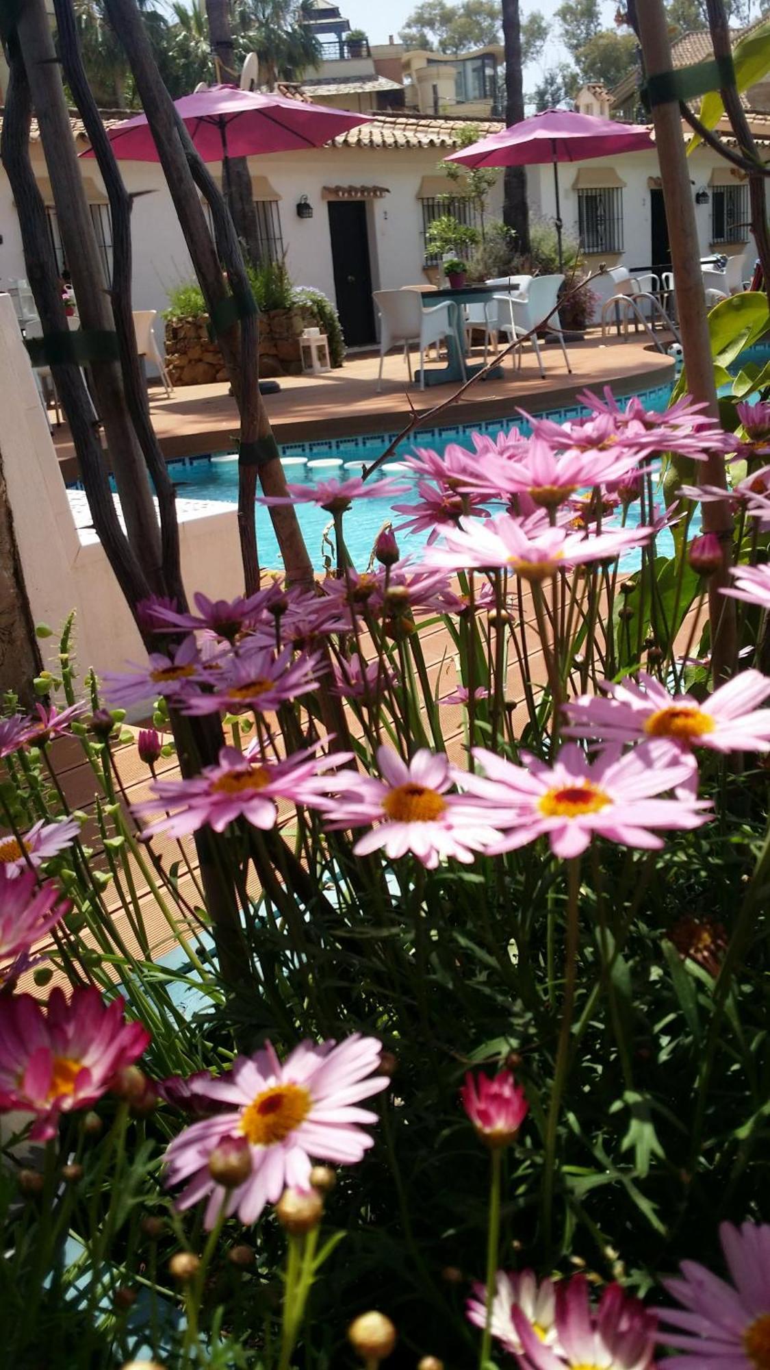 Banus Lodge Марбелья Екстер'єр фото
