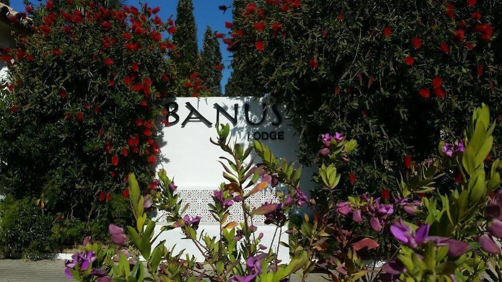 Banus Lodge Марбелья Екстер'єр фото