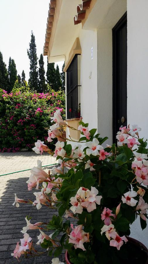 Banus Lodge Марбелья Екстер'єр фото